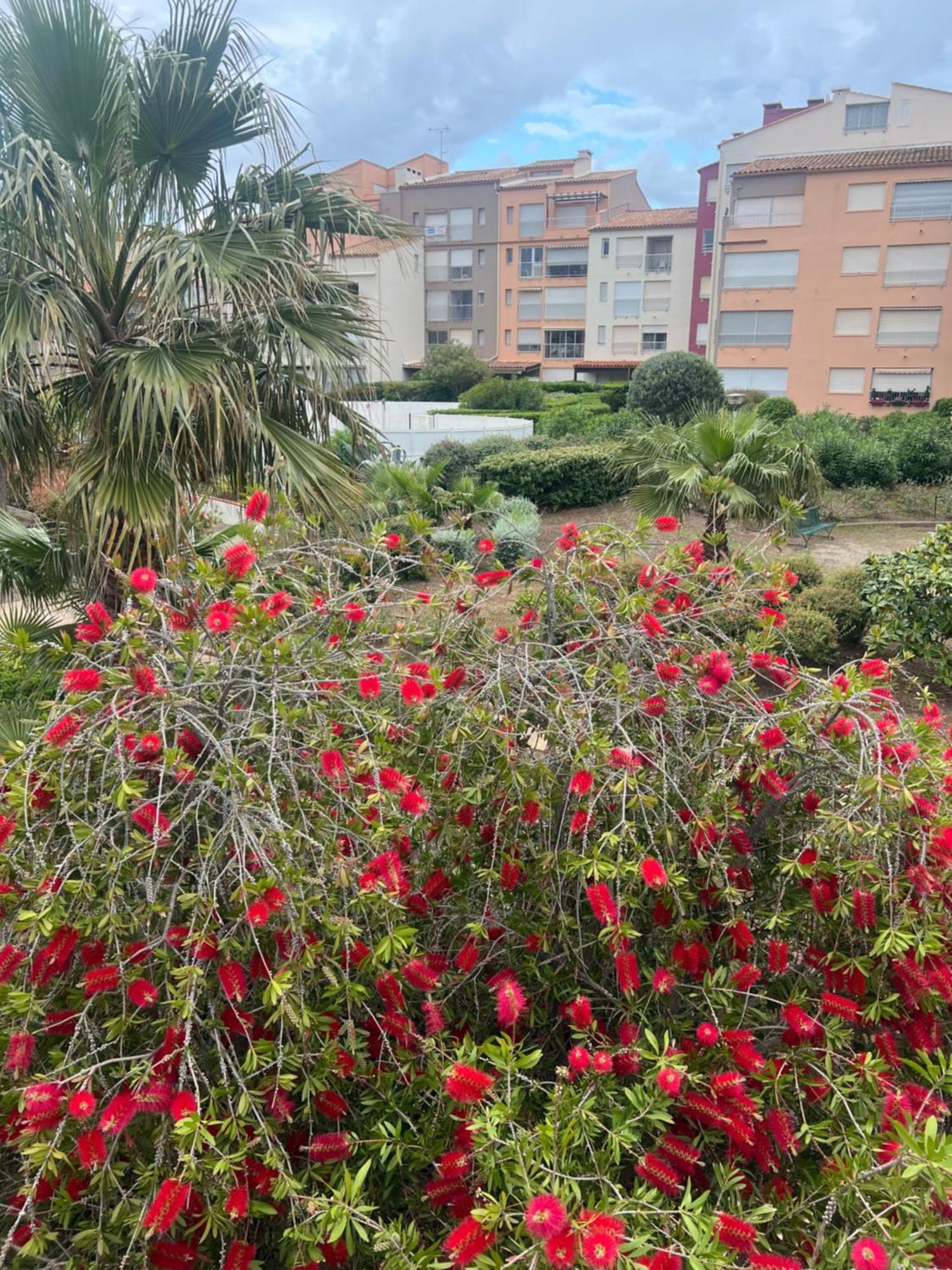 Residence Le Pharo Agde Dış mekan fotoğraf